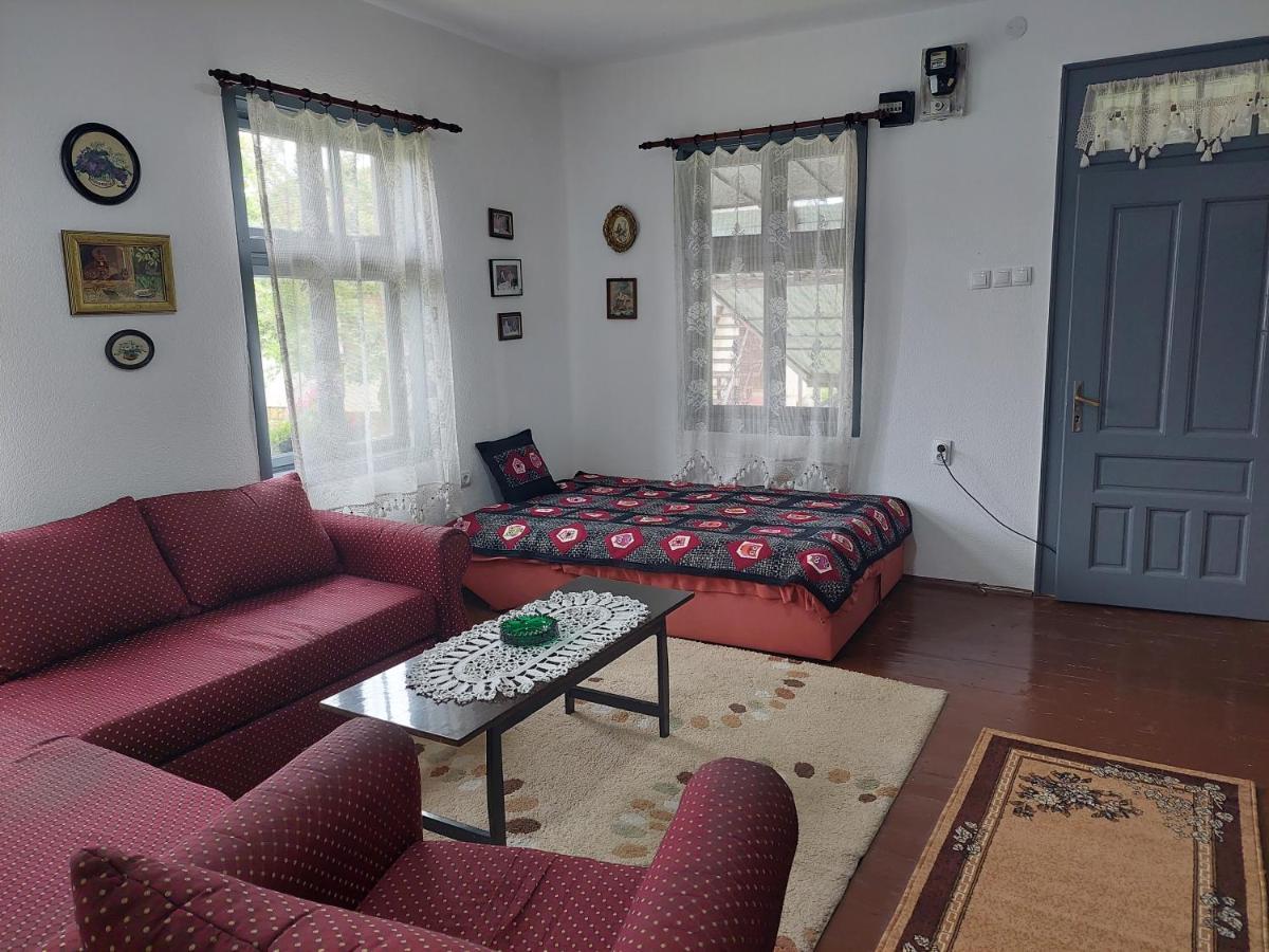 Apartmani Petkovic 226 Velika Drenova エクステリア 写真