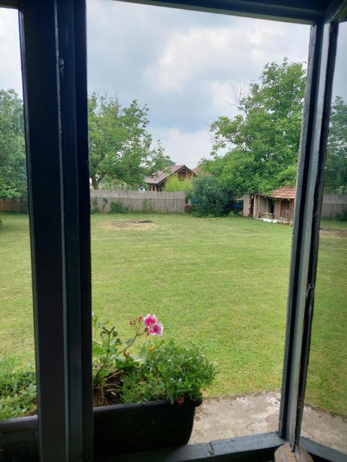 Apartmani Petkovic 226 Velika Drenova エクステリア 写真