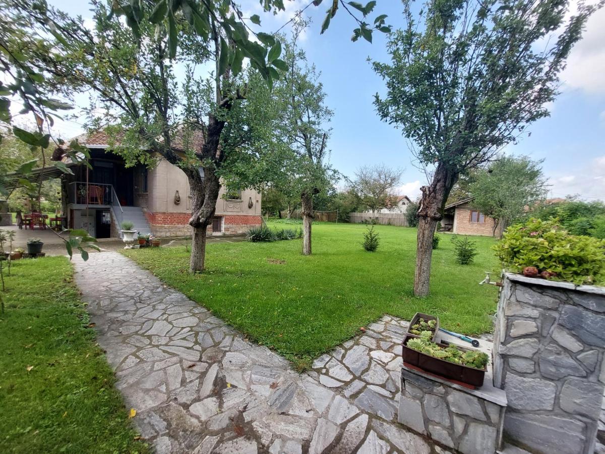 Apartmani Petkovic 226 Velika Drenova エクステリア 写真